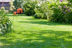 travaux jardin et paysage Valmascle